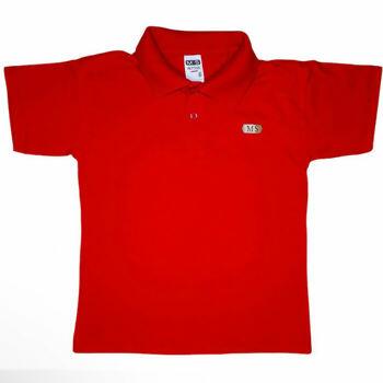 mt106_107_camiseta_polo_matteus